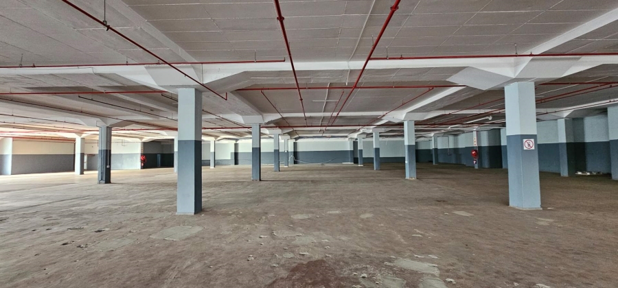 To Let commercial Property for Rent in Elsies River Industrial Western Cape
